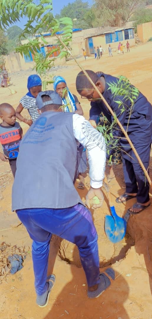 Plantation d'arbres : Arbres fruitiers, reforestation, plantation d'arbres, environnement, nature, biodiversité, croissance, verdissement, développement durable. Rénovation de classes : Rénovation, salle de classe, éducation, amélioration, réhabilitation, reconstruction, école, enfants, apprentissage. Distribution de fournitures scolaires : Fournitures scolaires, trousse, cahier, stylo, école, enfants, éducation, matériel, rentrée scolaire. Impact de nos actions : Impact, changement, transformation, succès, résultats, bénéficiaires, témoignages, communauté, environnement, éducation niger niamey