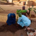Plantation d'arbres : Arbres fruitiers, reforestation, plantation d'arbres, environnement, nature, biodiversité, croissance, verdissement, développement durable. Rénovation de classes : Rénovation, salle de classe, éducation, amélioration, réhabilitation, reconstruction, école, enfants, apprentissage. Distribution de fournitures scolaires : Fournitures scolaires, trousse, cahier, stylo, école, enfants, éducation, matériel, rentrée scolaire. Impact de nos actions : Impact, changement, transformation, succès, résultats, bénéficiaires, témoignages, communauté, environnement, éducation niger niamey