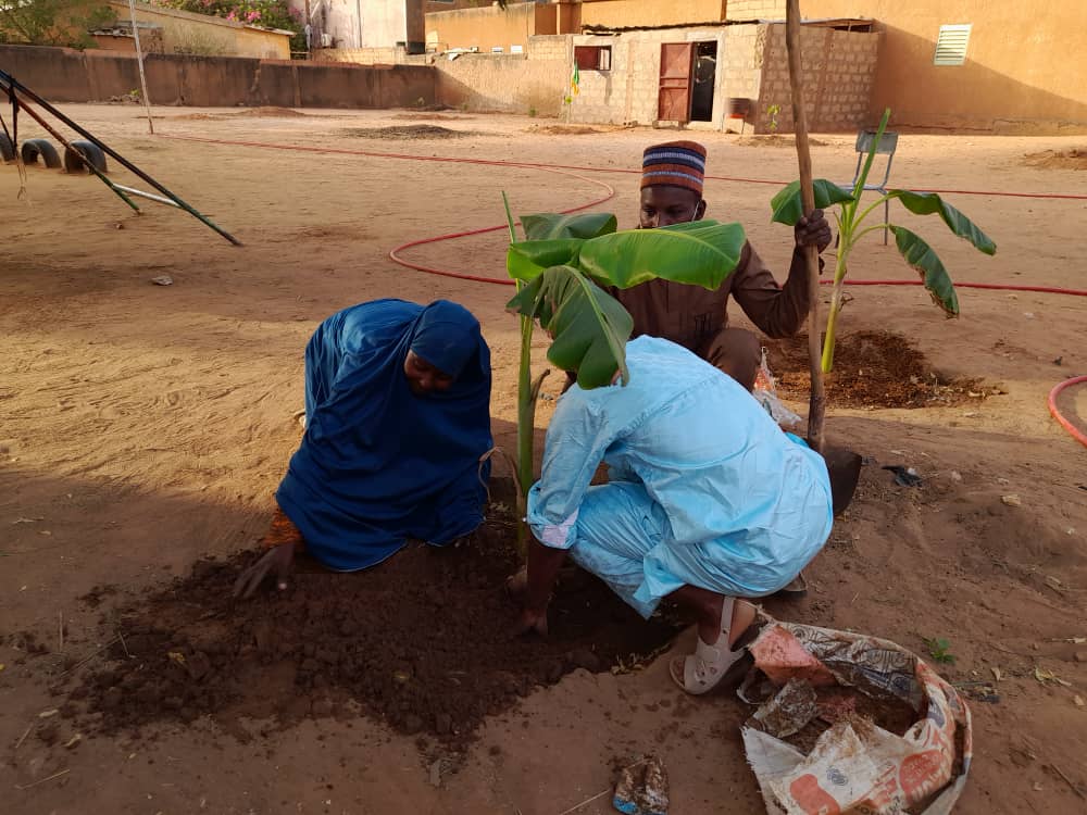 Plantation d'arbres : Arbres fruitiers, reforestation, plantation d'arbres, environnement, nature, biodiversité, croissance, verdissement, développement durable. Rénovation de classes : Rénovation, salle de classe, éducation, amélioration, réhabilitation, reconstruction, école, enfants, apprentissage. Distribution de fournitures scolaires : Fournitures scolaires, trousse, cahier, stylo, école, enfants, éducation, matériel, rentrée scolaire. Impact de nos actions : Impact, changement, transformation, succès, résultats, bénéficiaires, témoignages, communauté, environnement, éducation niger niamey