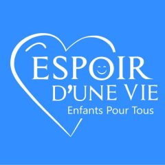 Plantation d'arbres : Arbres fruitiers, reforestation, plantation d'arbres, environnement, nature, biodiversité, croissance, verdissement, développement durable. Rénovation de classes : Rénovation, salle de classe, éducation, amélioration, réhabilitation, reconstruction, école, enfants, apprentissage. Distribution de fournitures scolaires : Fournitures scolaires, trousse, cahier, stylo, école, enfants, éducation, matériel, rentrée scolaire. Impact de nos actions : Impact, changement, transformation, succès, résultats, bénéficiaires, témoignages, communauté, environnement, éducation niger niamey